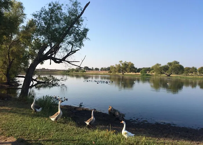 Charming 5br In * Round Rock